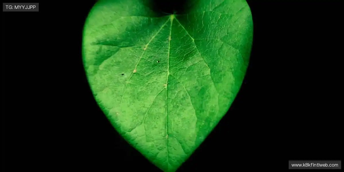 slider-1 Image